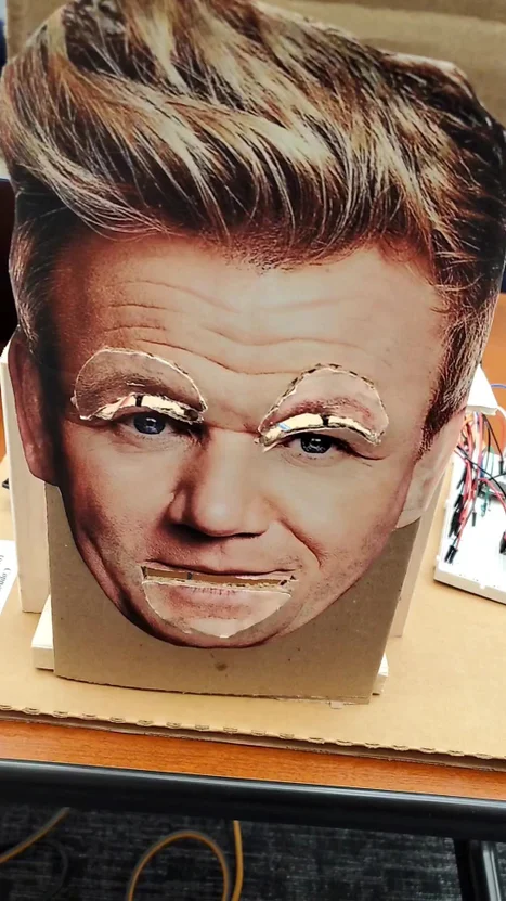 Gordon-Ramsay-Mechatronics-Face